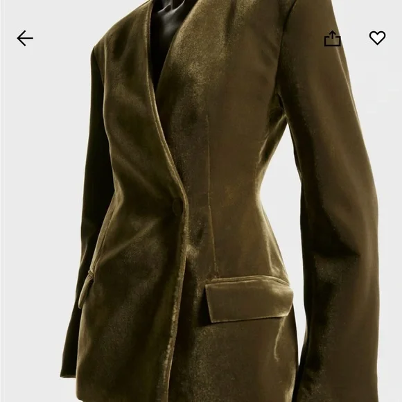 H&M Holiday 2025 Women's Velvet Blazer/Jacket (dark khaki green) size M & L. NWT - Picture 5 of 9